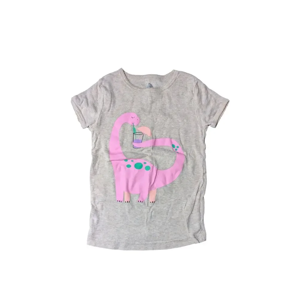 Wonder Nation-Pink Dinosaur Pajamas-Size 5T-Pink Dino Top-Multicolor Dino Bottom
